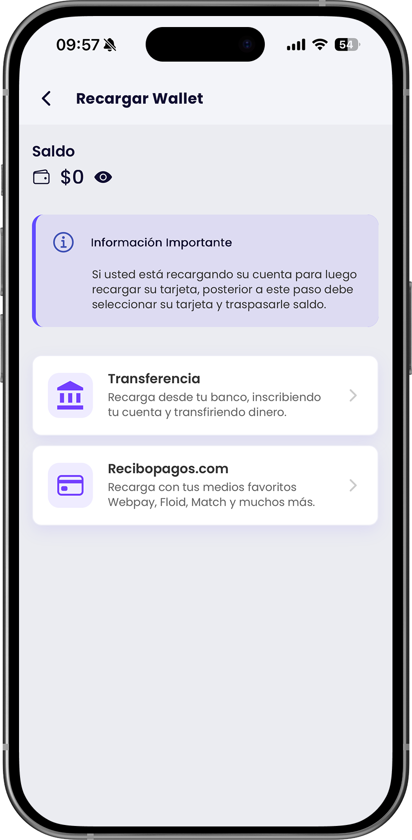Paso 2 elegir metodo de recarga