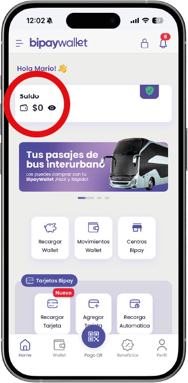 Paso 1 asegurate de tener saldo en la app